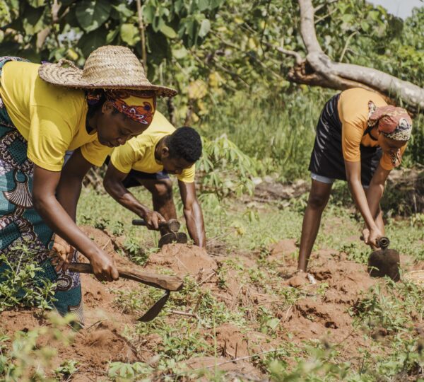countryside-people-working-field