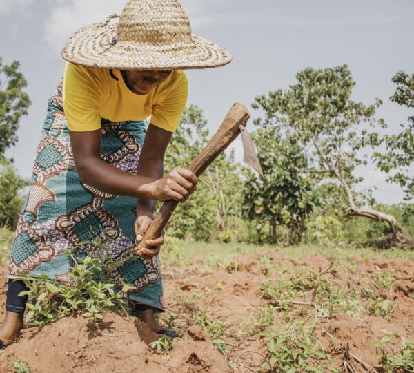 countryside-woman-working-field