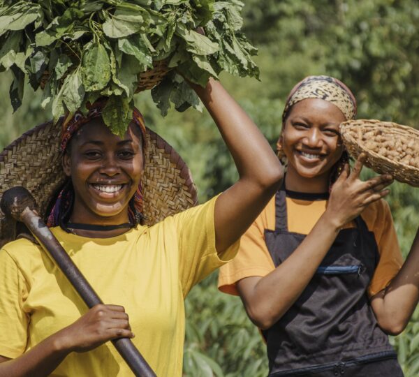 countryside-workers-out-field