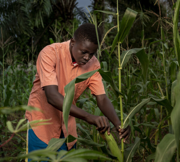 medium-shot-boy-working-cornfield