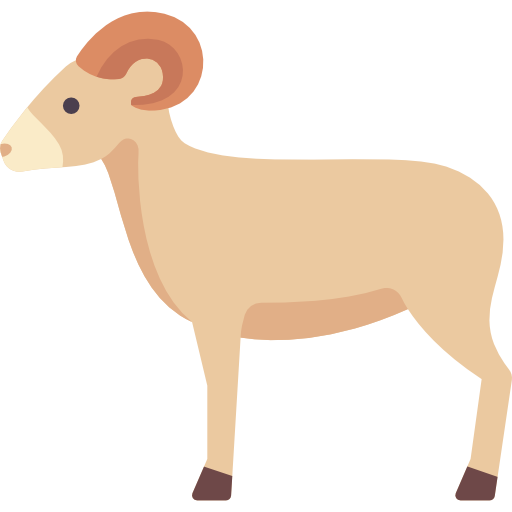 Ram