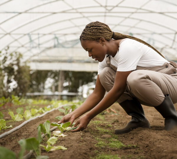 side-view-woman-taking-care-plants